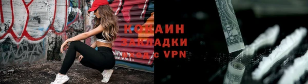 амф Вуктыл